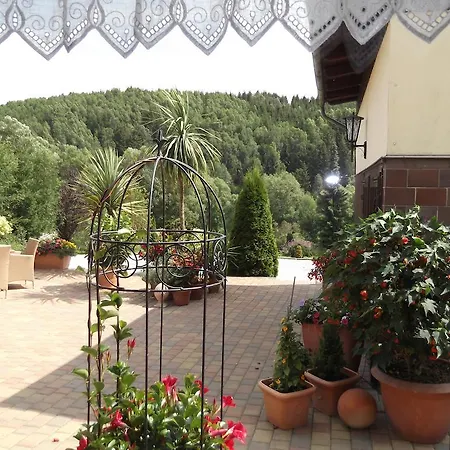 Pensjonat Waldhof Trautenstein